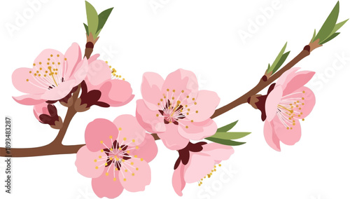 Delicate pink blossoms bloom on a slender branch with budding leaves