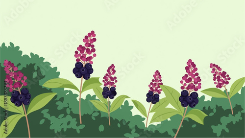 Delicate illustration of flowering plants with dark berries against green foliage