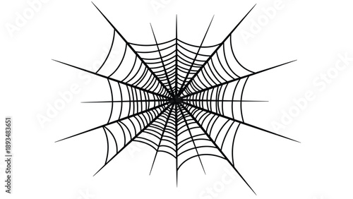 Detailed spider web illustration with intricate radial and spiral lines centered in the frame against a white background for spooky themes.