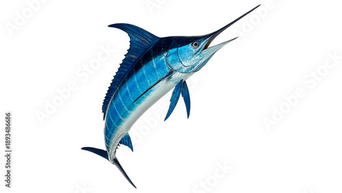 Foto Marlin jumps above the water isolated on transparent background cut out