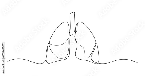 Continuous line drawing of human lungs conceptual illustration. No editable stroke