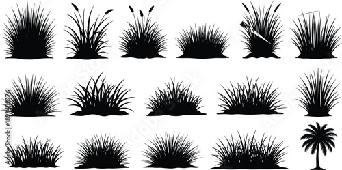 Grass and bush silhouette set, wild plants and palm tree shapes, nature landscape elements, black botanical vector, isolated on white