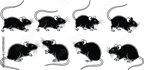 Mouse silhouettes collection, cute rat rodent poses set, small animal illustration, wildlife mascot design, black vector cartoon style