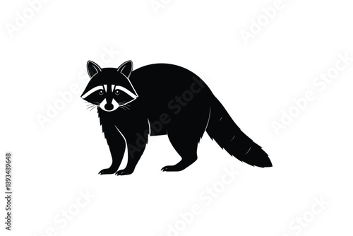Black raccoon silhouette with masked face and striped tail isolated on white background representing wildlife