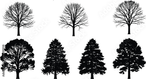 Tree silhouettes collection showing deciduous and evergreen forest shapes, black nature elements isolated on white background illustration