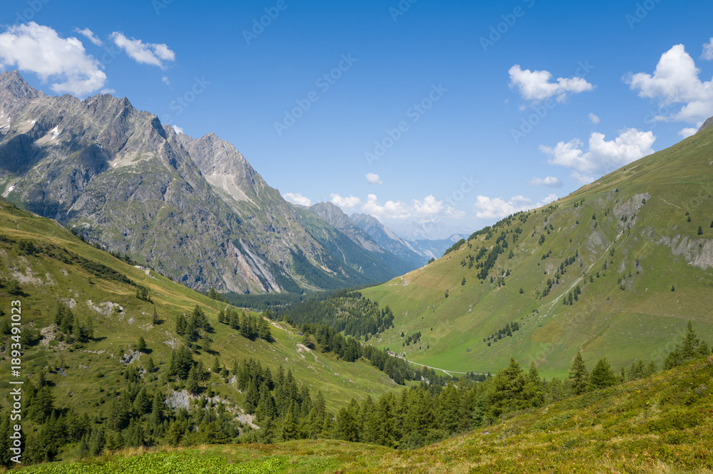 Naklejka premium Rolling green hills dotted with conifer trees descend into a wide alpine valley, framed by steep rocky peaks and a clear blue sky in Vallee de l'A Neuve, Switzerland.