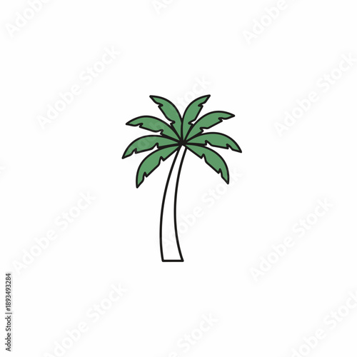 Palm Tree with Green Fronds