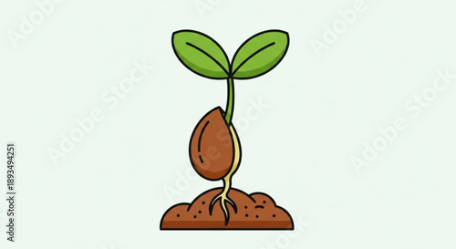 A young green seedling grows from brown soil with two leaves sprouting upwards naturally