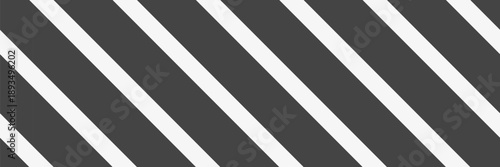 Line pattern  line a geometric tilt. Slash background strip. Diagonal embroidery white and black texture. Vector