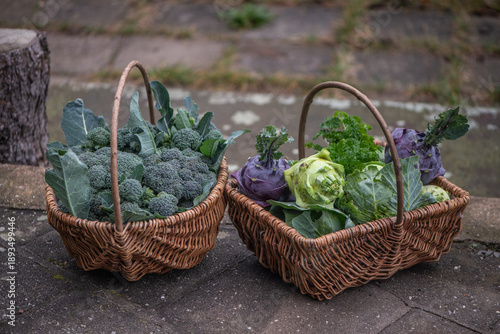Fresh organic vegetables harvest in wicker baskets outdoors
