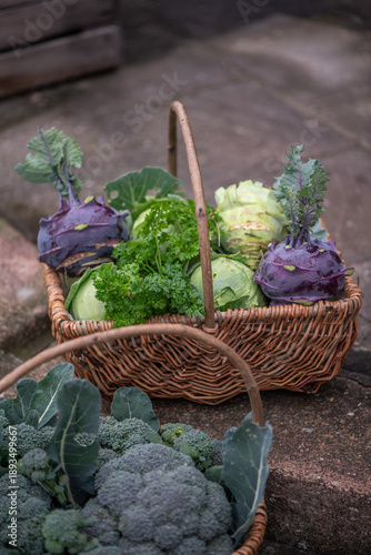 Fresh organic vegetables harvest in wicker baskets outdoors