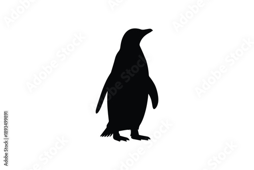 Penguin bird silhouette standing isolated on white background, antarctic animal in black shape