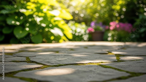 Stone pathway in a garden with plants and flowers and natural sunlight