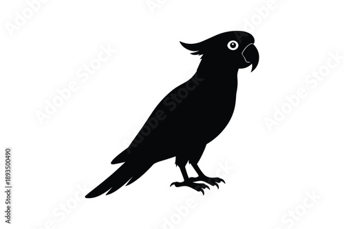 Silhouette of a parrot on white background, tropical bird, exotic, pet, wild, creature, avian, talk, mimic, fly