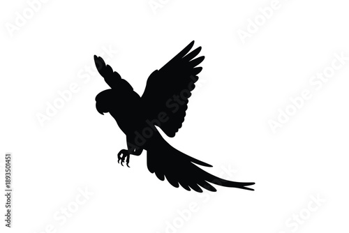 Elegant flying parrot silhouette with spread wings isolated on white background exotic tropical bird graphics