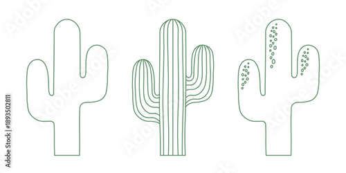 Set of hand-drawn cactus outlines isolated on a transparent background. PNG and vector illustration