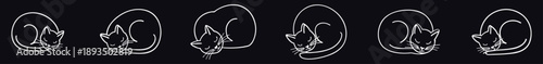 White line art sleeping cat poses on dark background showing curled kitten silhouettes in circular shapes for cute pet design illustration and modern animal concepts