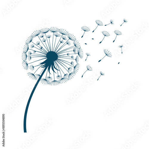 Delicate Dandelion Seeds Blowing In Wind, Floral Botanical Illustration