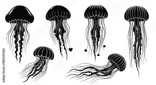 Detailed black silhouettes of various jellyfish species with long flowing tentacles for marine biology and nature study.