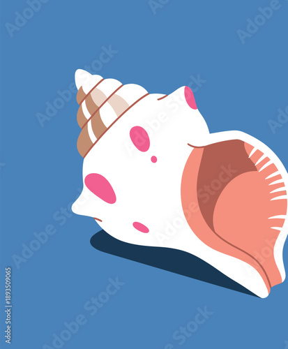 A pristine white conch shell with vibrant pink accents against a calm blue backdrop
