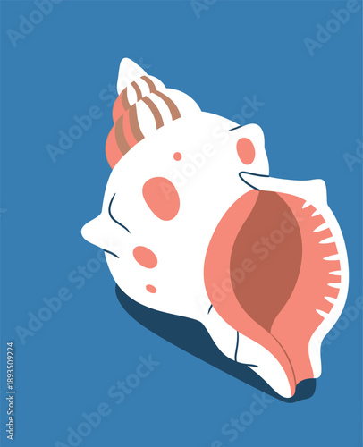A white conch shell with a coral opening and brown striped spiral, against a blue background