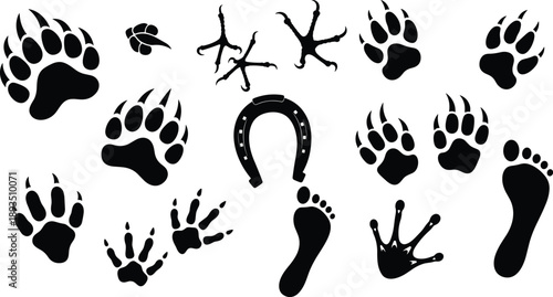 Animal track silhouettes collection with bear wolf paw prints, bird reptile footprints and horseshoe signs, wildlife trail symbols black vector set
