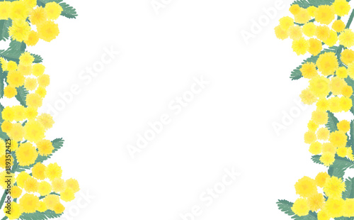 手描きのミモザの左右フレーム_横