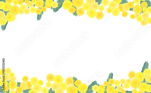 手描きのミモザの上下フレーム_横