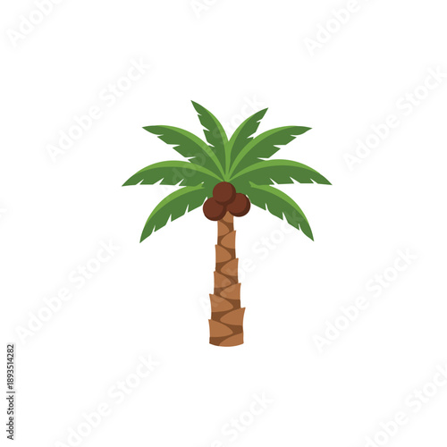 Palm Tree with coconuts