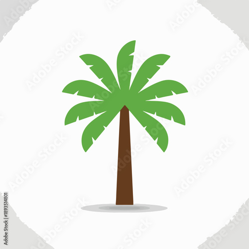 Palm Tree on Beach
