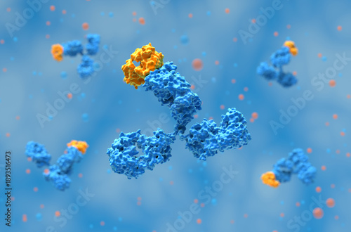 Photos Monoclonal antibody (mAb) therapy - 3d illustration closeup view