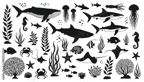 A black and white underwater world filled with sea creatures and coral in silhouette style