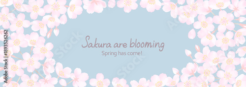 桜の花と春のスモーキーな空の横長背景イラスト