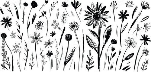 Hand drawn wildflower meadow illustration, abstract floral doodle elements, black ink botanical plants, artistic nature sketch, modern organic design
