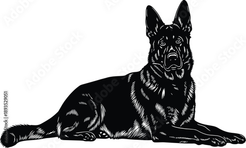 Detailed black silhouette of a majestic German Shepherd dog lying down relaxed with alert expression ears up and paws forward vector illustration isolated on white background