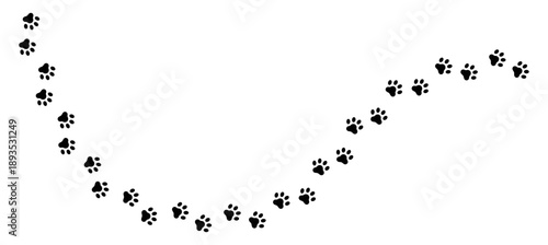 Pet, animal pawprint long path, dog paw track vector element