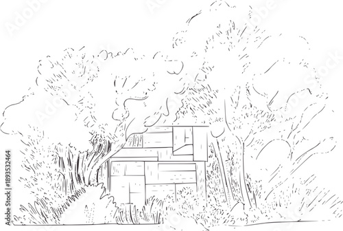 Minimalist of a rustic wooden shed nestled amongst trees and foliage