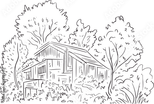 Minimalist of a rustic wooden shed surrounded by trees and foliage building