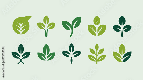 Bild auf Leinwand A collection of vibrant green leaf illustrations is displayed showcasing various