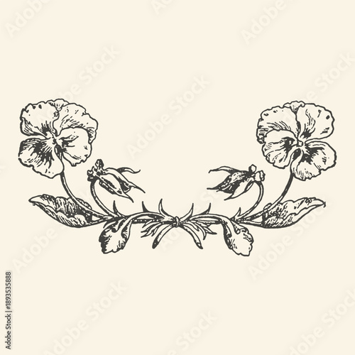 Symmetrical Vintage Botanical Floral Ornament featuring Pansy Flowers and Buds in Black Etching Style, Elegant Hand-Drawn Nature Divider on Cream Background