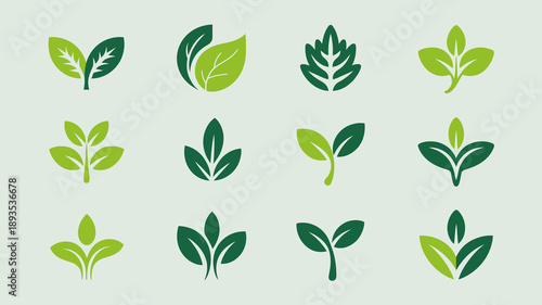 A collection of vibrant green leaf illustrations are displayed against a pale background showcasing diverse shapes and vein patterns high quality professional detailed modern elegant stylish