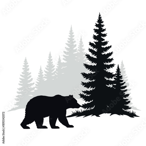 Black bear silhouette walking in a pine forest with grey trees grizzly bear animal wildlife d