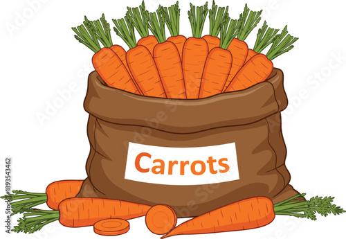 Fresh organic carrots in a rustic burlap sack with green leaves on white background for harvest market gardening and healthy food concept.