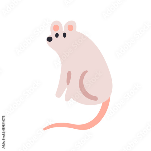 Mouse sitting. Cute small rodent with tail, paws. Funny little rat in seated ...