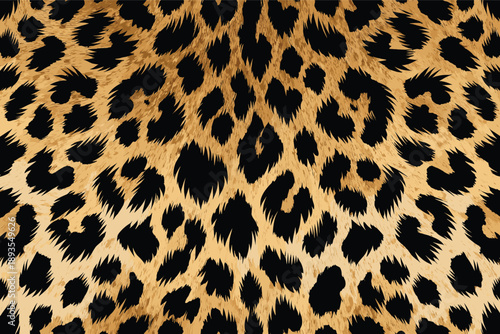 A close-up view of a leopard's fur texture and pattern on its wild animal skin surface background
