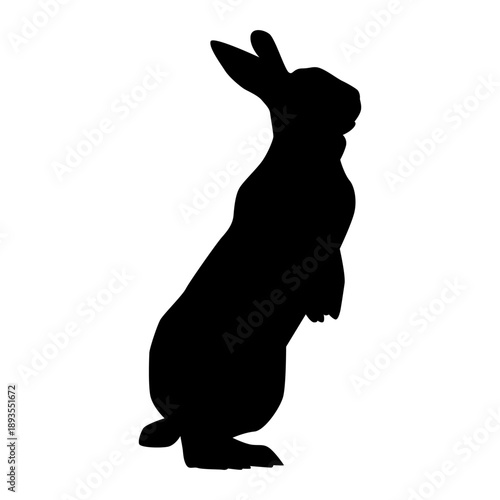 Black Silhouette of Wild Rabbit Standing Upright