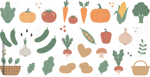 Minimal vegetable illustration set with pumpkins, tomatoes, carrots, cucumbers, corn, potatoes, leafy greens, and fresh farm produce in soft vector style