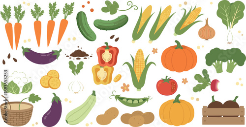 Fresh vegetable illustration set with carrots, pumpkins, corn, peppers, cucumbers, eggplants, tomatoes, and colorful healthy farm produce in vector style