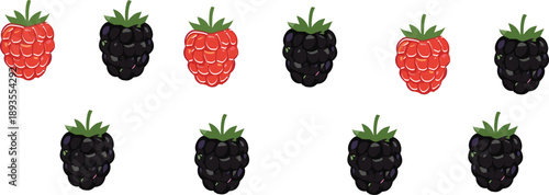 Seamless raspberry and blackberry pattern vector background with fresh berries for summer food packaging and healthy design