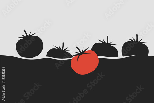 Red Tomato Among Black, standing out concept